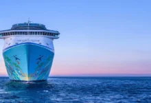 Primer crucero en Veracruz ya tiene fecha de llegada