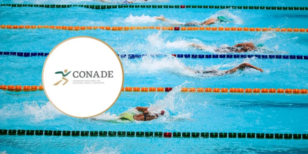 veracruz será sede de la olimpiada nacional 2027