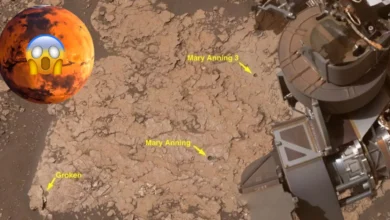 Descubren en Marte barro agrietado que revela ciclos antiguos de humedad y sequía (Foto Nasa)
