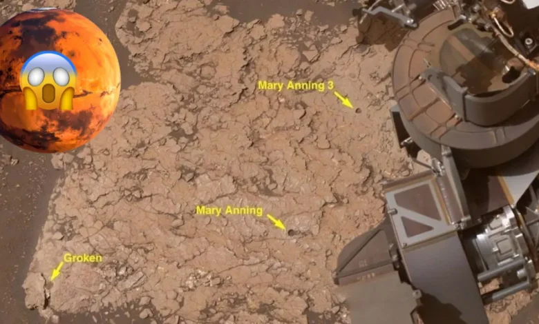 Descubren en Marte barro agrietado que revela ciclos antiguos de humedad y sequía (Foto Nasa)
