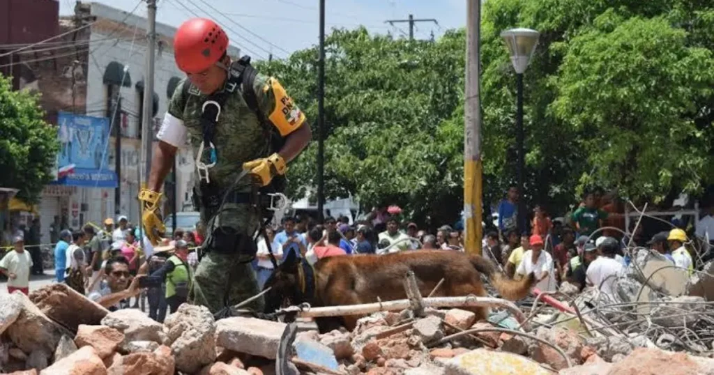 pago de tenencia 2026 cdmx ¿cómo saber cuánto debo y cómo pagar (5)