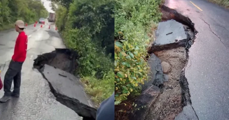 Carretera Veracruz-Poza Rica queda cerrada por socavón (Fotos de internet)