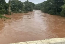 se desborda el río solosúchil y alertan a comunidades de veracruz