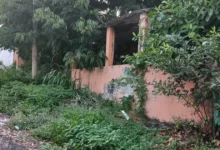 veracruz mantiene cinco procesos contra dueños de inmuebles abandonados