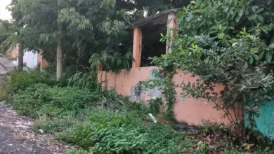 veracruz mantiene cinco procesos contra dueños de inmuebles abandonados