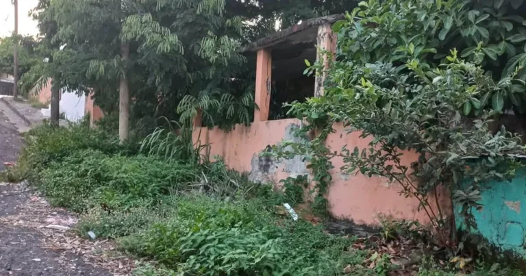 veracruz mantiene cinco procesos contra dueños de inmuebles abandonados