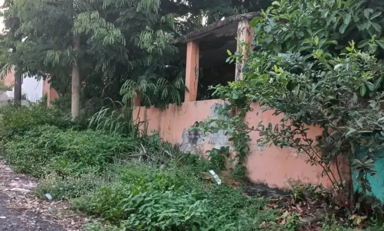 veracruz mantiene cinco procesos contra dueños de inmuebles abandonados