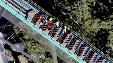 accidente en six flags georgia deja un muerto y varios heridos