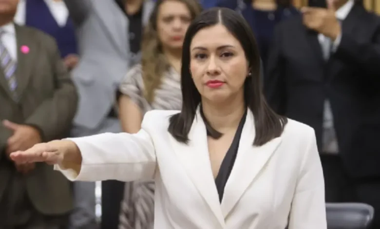 blanca cruz garcía asume presidencia provisional del ine