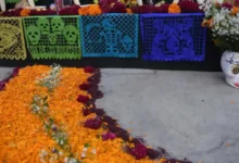 camino de cempasúchil en día de muertos qué significa