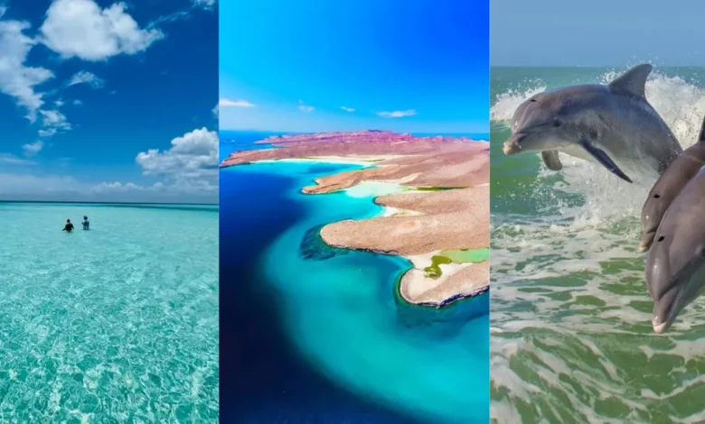 Tres islas de México perfectas para tus próximas vacaciones (Fotos de internet y redes sociales)