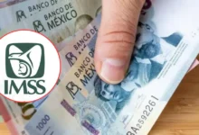 Fecha de pago y monto de aguinaldo 2026 para pensionados del IMSS (Imágenes de internet)