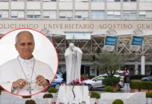 ¿Cómo esta el papa León XIV tras su cirugía pulmonar y anuncio de cáncer? (Fotos de internet)