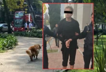 Detienen a presunto envenenador de perros en Condesa, CDMX (Fotos de Daniel Escobar y redes sociales)