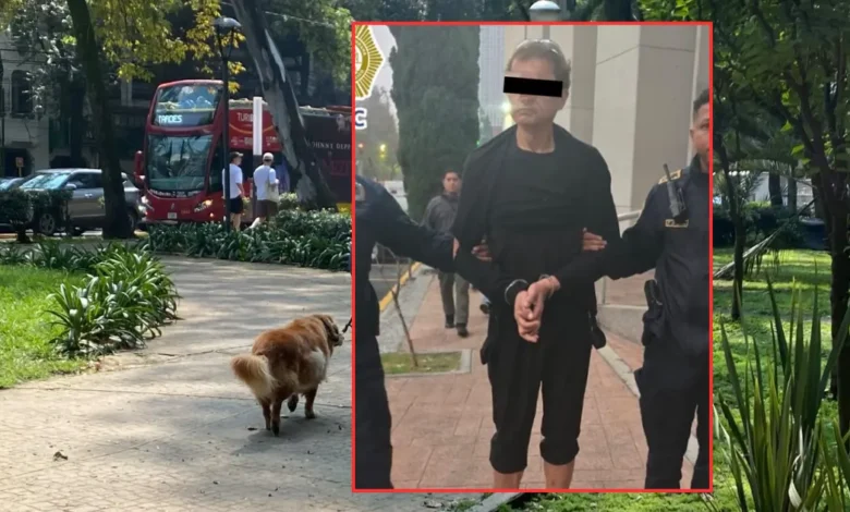 Detienen a presunto envenenador de perros en Condesa, CDMX (Fotos de Daniel Escobar y redes sociales)