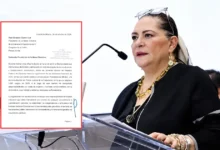 recibe cámara de diputados renuncia de guadalupe taddei